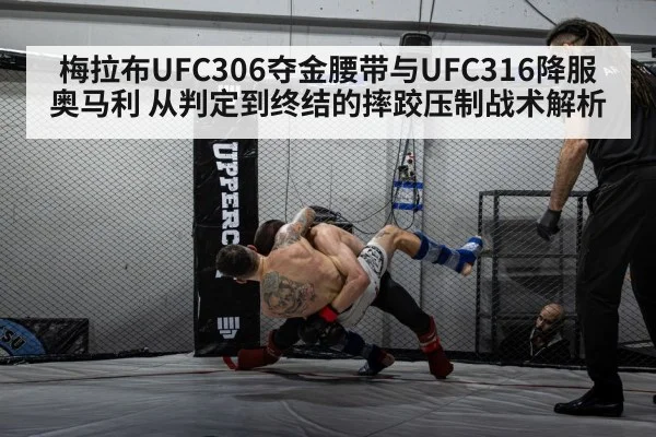 MMA fighters grappling